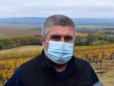 Vetovo vinogradi