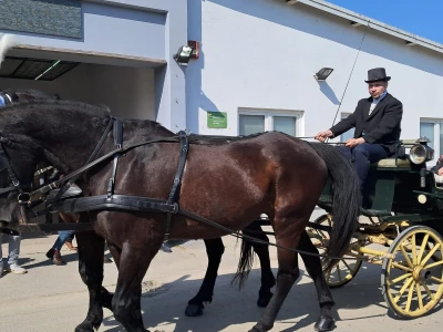 27. Proljetni međunarodni bjelovarski sajam