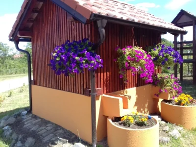 Vila Katarina