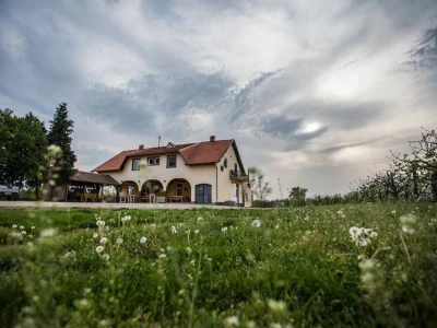 Vila Katarina