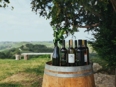 Vina DK