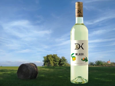 Vina DK