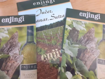 Vina Enjingi
