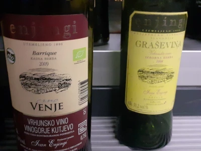 Vina Enjingi