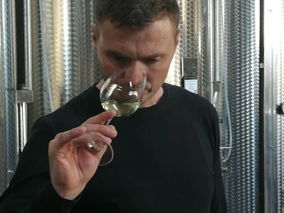 Vina Pavlović