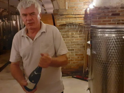 Vina Šimanović