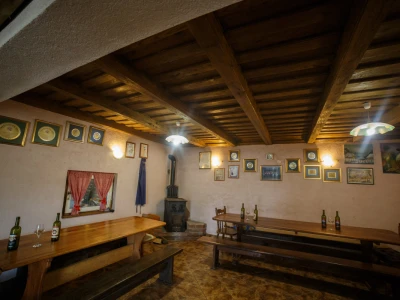 Vinar Martin Jušta