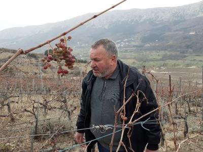 Vinarija Anton Katunar