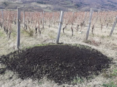 Vinarija Anton Katunar