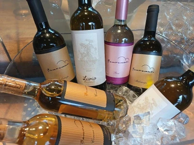 Vinarija Benvenuti