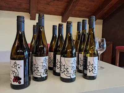 Vinarija Bolfan Vinski