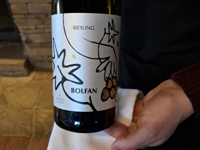 Vinarija Bolfan Vinski