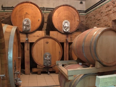 Vinarija Bolfan Vinski