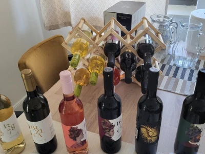 Vinarija Brzica i Hotel Vinotel