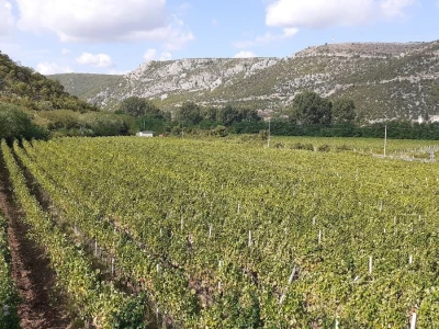 Vinarija Čitluk