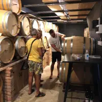 Vinarija Fiolić, Zadar