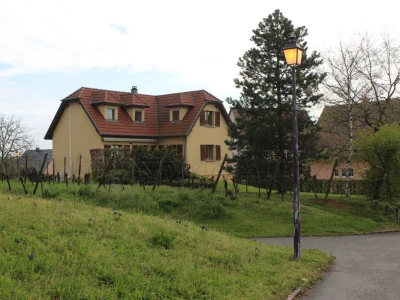 Vinarija Horscher, D'Alsace regija u Francuskoj