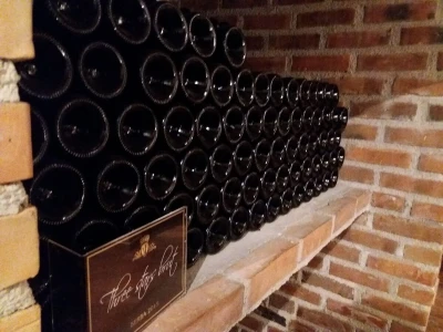 Vinarija Jagunić