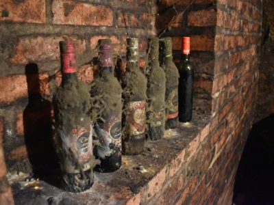 Vinarija Kolar i radionica keramike Asztalos