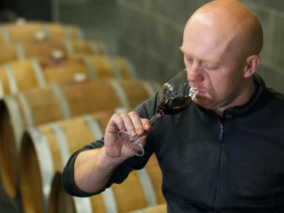 Vinarija Kostanjevec