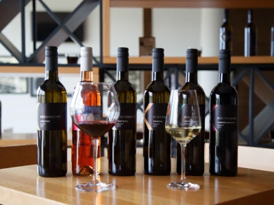 Vinarija Kostanjevec