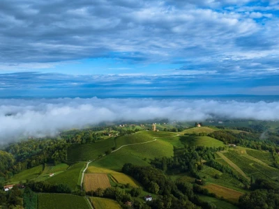 Vinarija Štampar iz Svetog Urbana uspješno je spojila stogodišnju tradiciju, iznimnu kvalitetu i inovativnost u proizvodnji vina