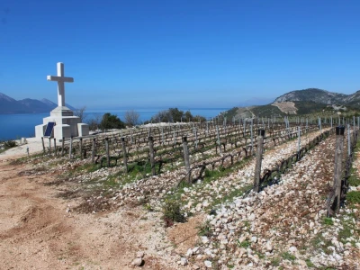 Vinarija Terra Madre, Komarna
