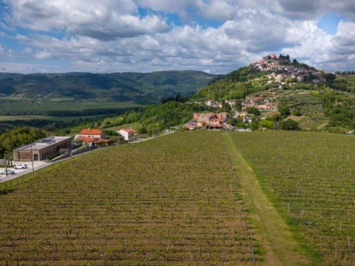 Vinarija Tomaz - Motovun
