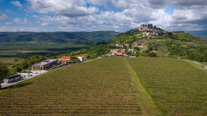vinarija Tomaz