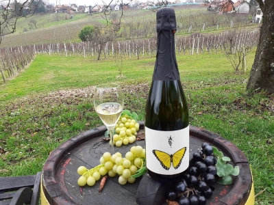 Vinarija Trdenić