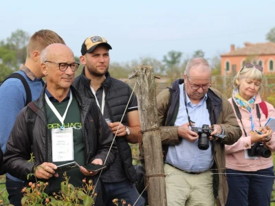Vinarija Venissa tek nekoliko centimetara nad morem