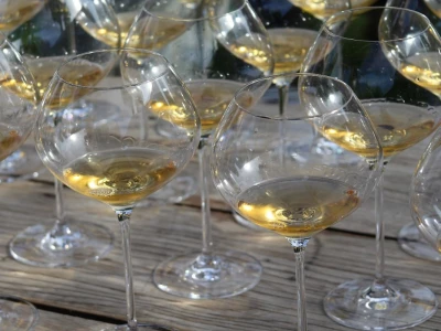 Vinarija Venissa tek nekoliko centimetara nad morem