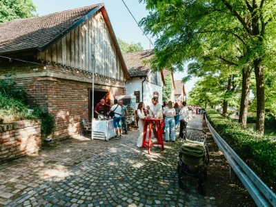 Vinatlon