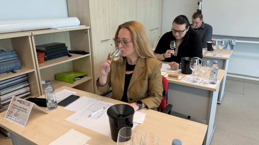 Ocjenjivanje vina