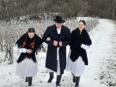 Vincekovo u Svetom Ivanu Zelini