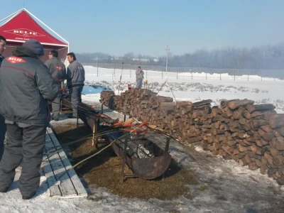 Vinceška 2017. Belje