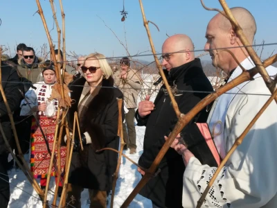 Vinceška 2017. Belje