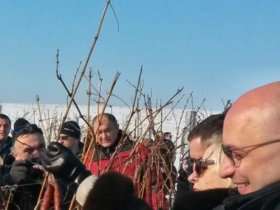Ljerka Puljić