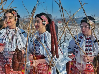 Vinceška 2017. Belje
