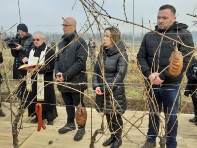 Vinceška u Baranji