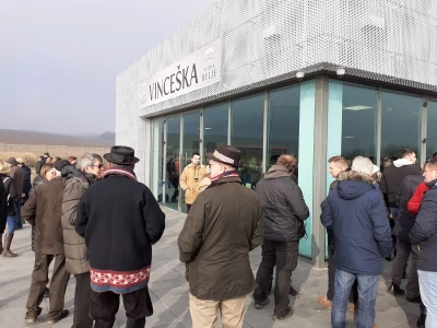 Vinceška u Baranji