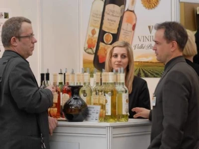 Vinex, Brno, Češka