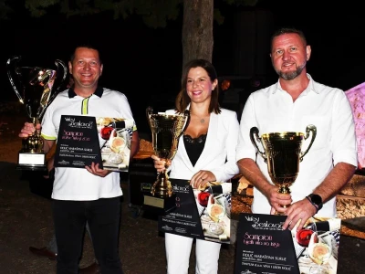 VINFEST 2021 - Pothvat braće Fiolića: Za jedno te isto vino tri šampionske titule i Veliko zlato!