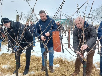 Vinkovo 2023