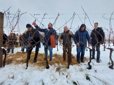 Vinkovo 2023