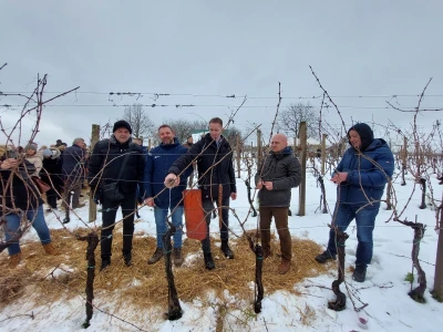 Vinkovo 2023