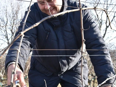 VINKOVO U STANKOVCIMA - 22. degustacija vina Sjeverne Dalmacije Vinkovo 2019