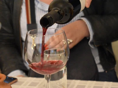 Vinogorje Erdut