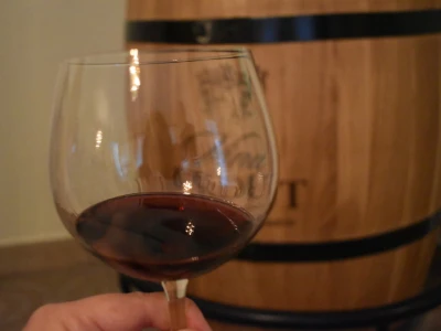 Vinogorje Erdut