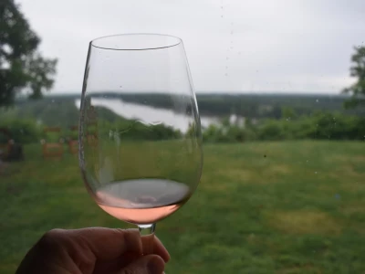 Vinogorje Erdut